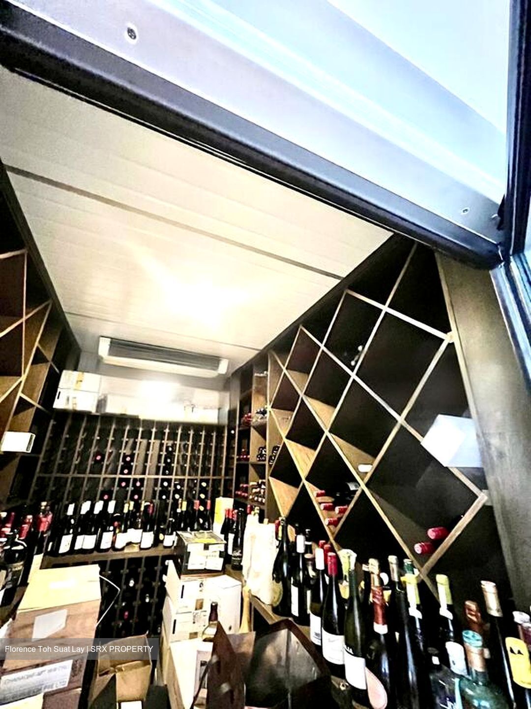 Leedon Heights (D10), Detached #455048611